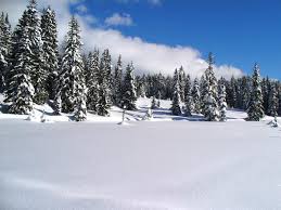 Vacanze Aldo Adige inverno