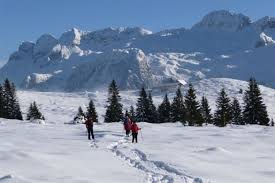 Vacanze in Friuli inverno