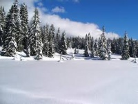 VACANZE IN ALTO ADIGE